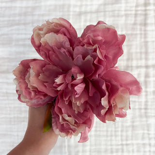Peonía Rosa