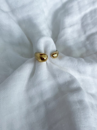 Anillo Fez
