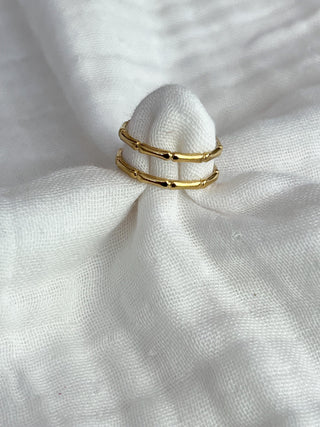 Anillo Huesitos doble