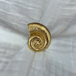 Anillo Amonita