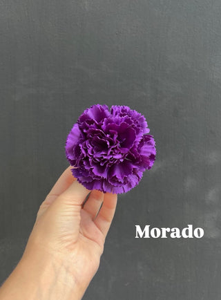 Clavel pinza