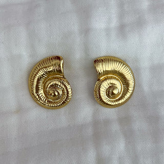 Pendientes Shellfish