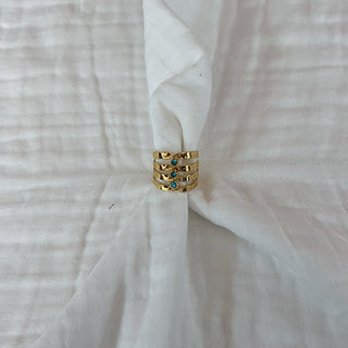 Anillo dehesa