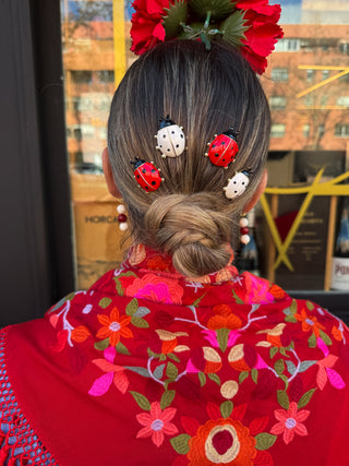 Peinecillo Maxi mariquita