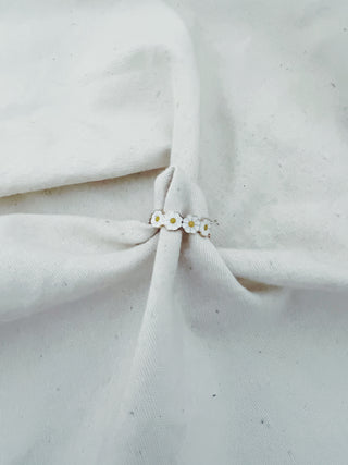 Anillo Primavera