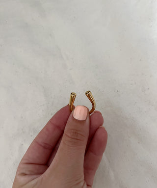 Anillo Herradura