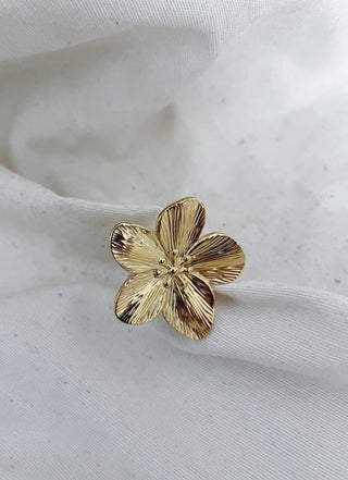 Anillo Salvaje
