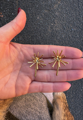 Pendientes Holly