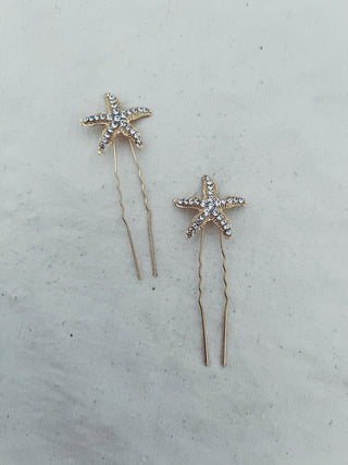 Horquillas estrellas de Mar brillantes