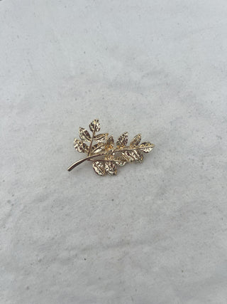 Broche olivito