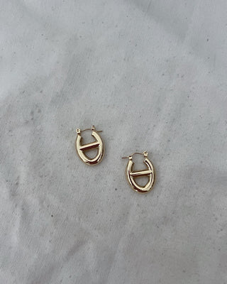 Pendientes café