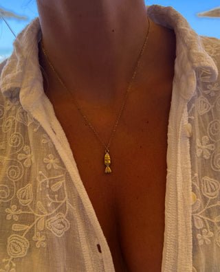 Cadena Pez