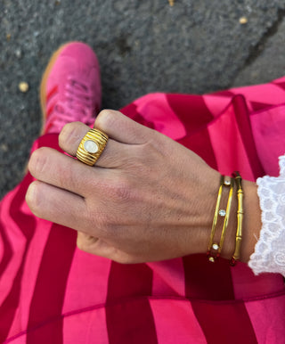 Anillo Conchi