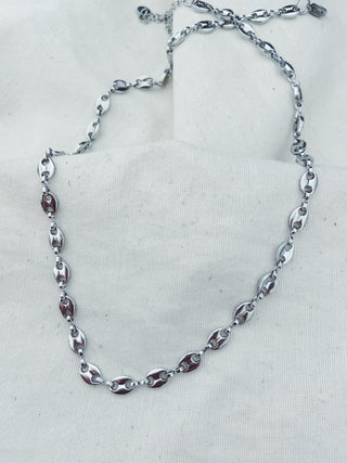 Medusa plata