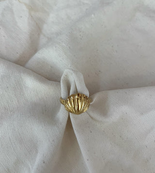 Anillo concha