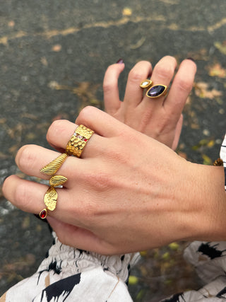 Anillo Seth
