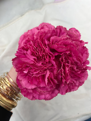 Claveles rosa fucsia