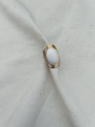 Anillo Budín