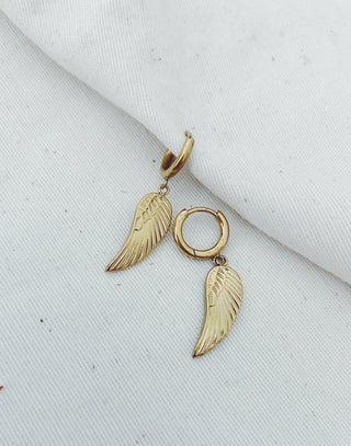 Wings oro