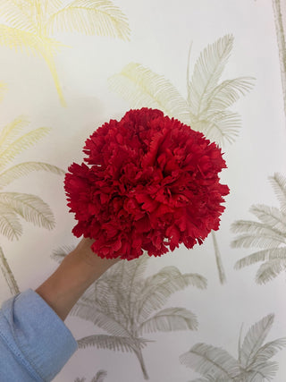 Claveles rojos