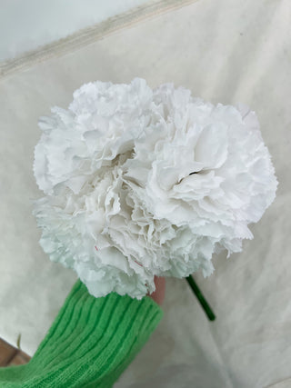 Claveles blancos