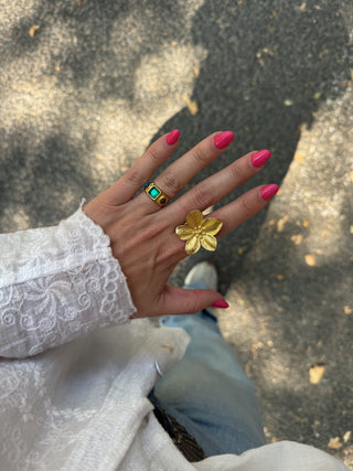 Anillo Salvaje