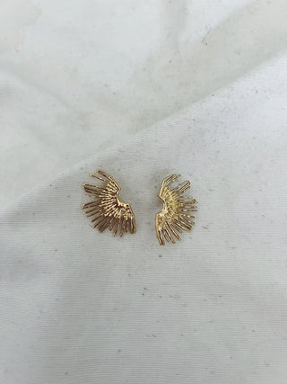 Pendientes plumaje