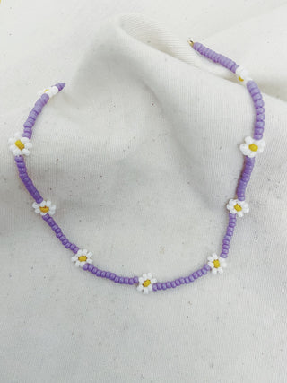 Margaritas lilas