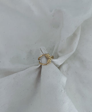 Anillo multinudo