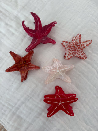 Pinzas estrellas