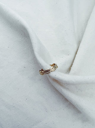 Anillo Conchitas
